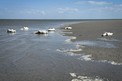 Tidevandsmeditationer af Nana-Francisca Schottl&auml;nder