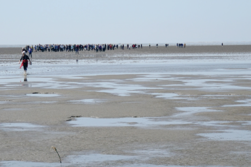 Vi henter tidevandet ind &ndash; 1. del