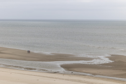 Lyt til Vadehavet: Glemme