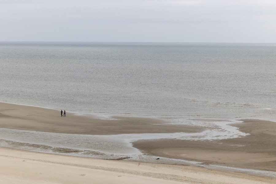 Lyt til Vadehavet: Glemme