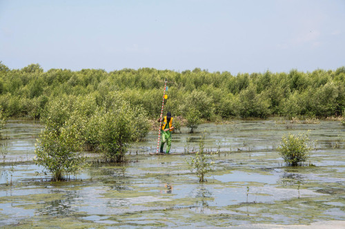 Vandre med b&oslash;lger &ndash; performance af David Garcia