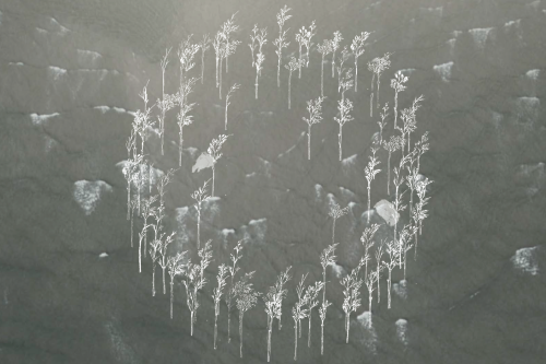 Aftenmeditation i The Drowned Garden