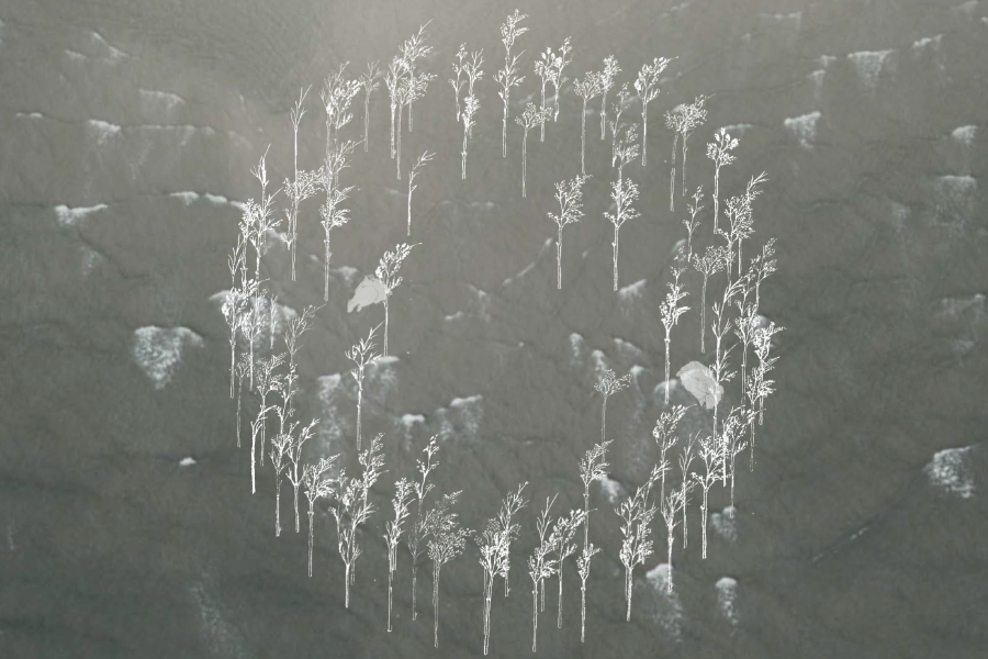 Aftenmeditation i The Drowned Garden